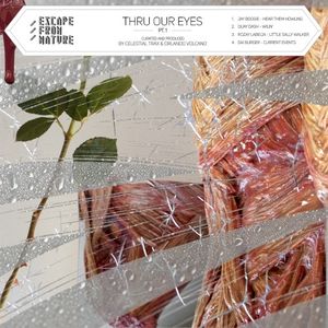 Thru Our Eyes, Pt. 1 (EP)