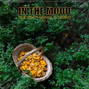 In the Mood (Single)