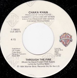 Through the Fire (Single)