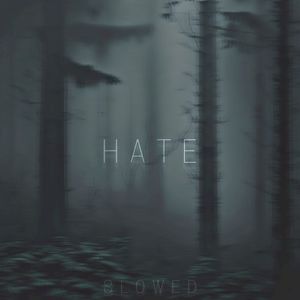 Hate (Slowed) (Single)