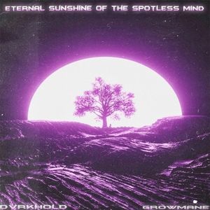 Eternal Sunshine of the Spotless Mind (Single)