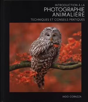 Introduction à la photographie animalière