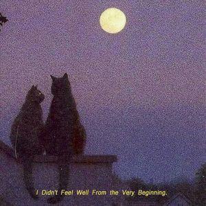 I Didn’t Feel Well from the Very Beginning (Single)