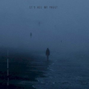 it’s all my fault (Single)