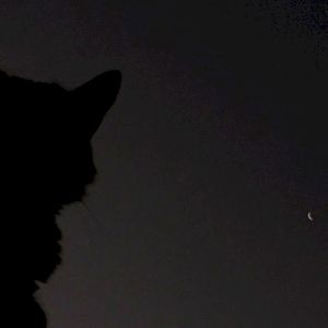 Will nobody miss me when I’m dead (Single)