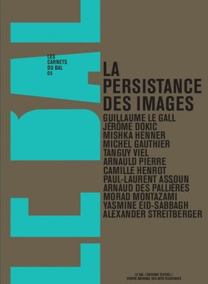 La Persistance des images