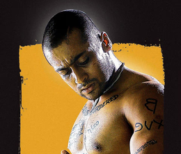 image-https://media.senscritique.com/media/000022297447/0/ghajini.png