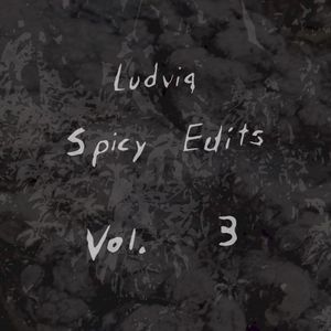 Ludviq Spicy Edits Vol. 3