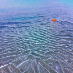 no plastic sea (EP)