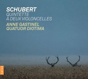 Quintette à deux violoncelles