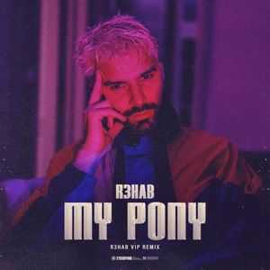 My Pony (R3HAB VIP remix) (extended version)