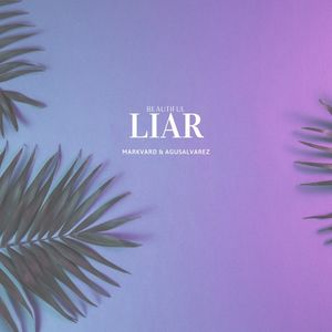 Beautiful Liar (Single)