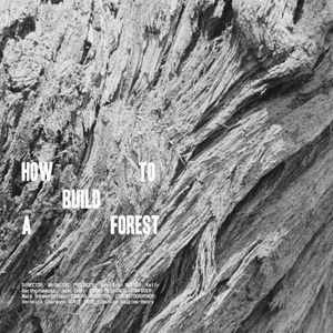 How To Build A Forest (EP)