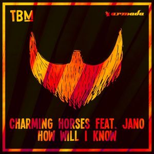 How Will I Know (Single)