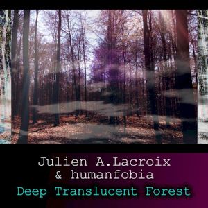 Deep Translucent Forest (Single)