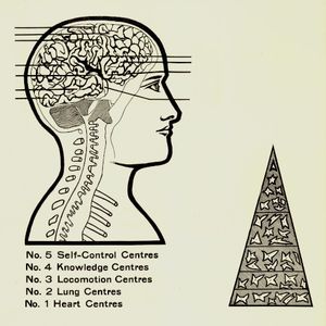 The Dream Is Over Now