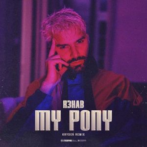 My Pony (Kryder remix) (extended version)