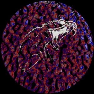 GIFKIKKER004 (Single)