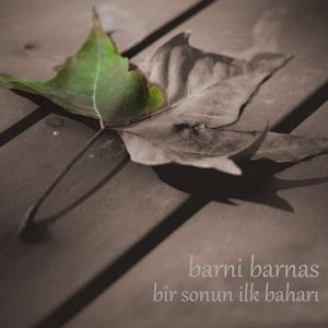 Bir Sonun İlk Baharı (EP)