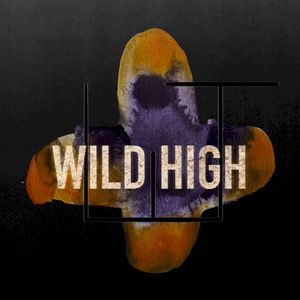 Wild High (Single)