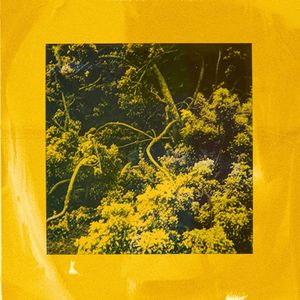 Only One I Want (Single)