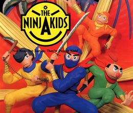 image-https://media.senscritique.com/media/000022313080/0/the_ninja_kids.jpg