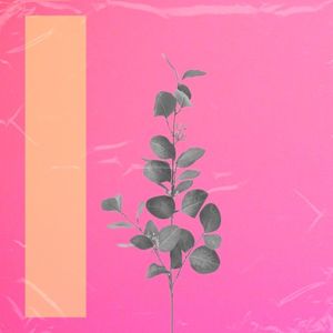 Calm (Single)