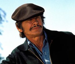 image-https://media.senscritique.com/media/000022314075/0/charles_bronson_le_genie_du_male.jpg