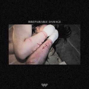 IRREPAIRABLE DAMAGE (EP)