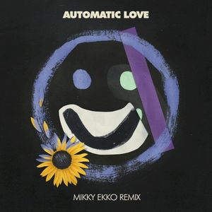 Automatic Love - Mikky Ekko Remix