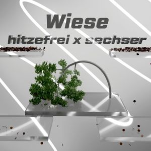 Wiese (Single)