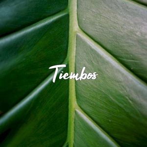 Tiembos (Single)
