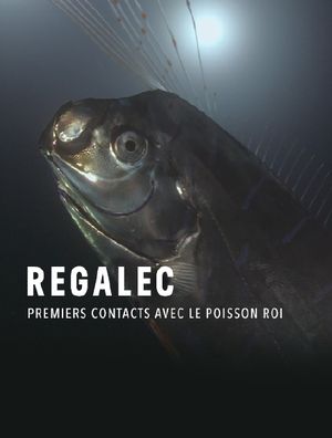 Régalec - Premiers contacts avec le poisson roi