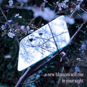 New Blossom (Single)