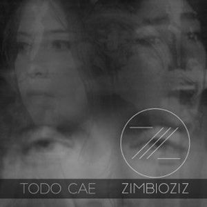 Todo Cae (Single)