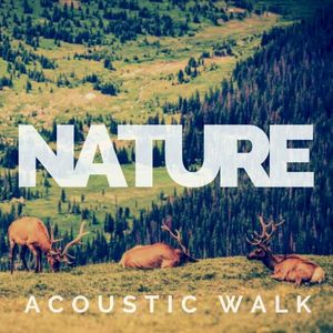 Nature - Acoustic Walk