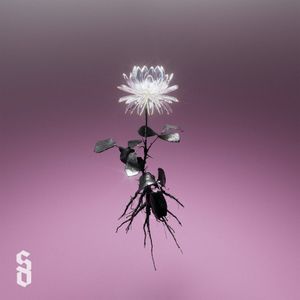 Bright Soul (Single)