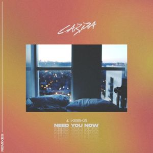 Need You Now (Rich James remix)