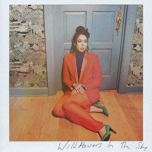 Wildflowers In The Sky (Single)