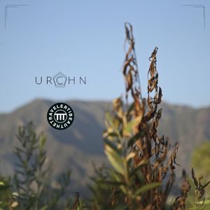 Chirp (Single)