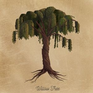 Willow Tree (Single)