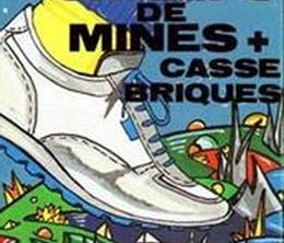 image-https://media.senscritique.com/media/000022326889/0/champs_de_mines_casse_briques.jpg