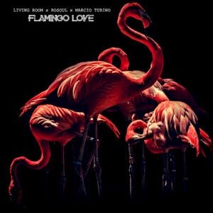 Flamingo Love (Single)