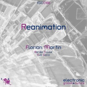 Reanimation (Bardia Salour remix)