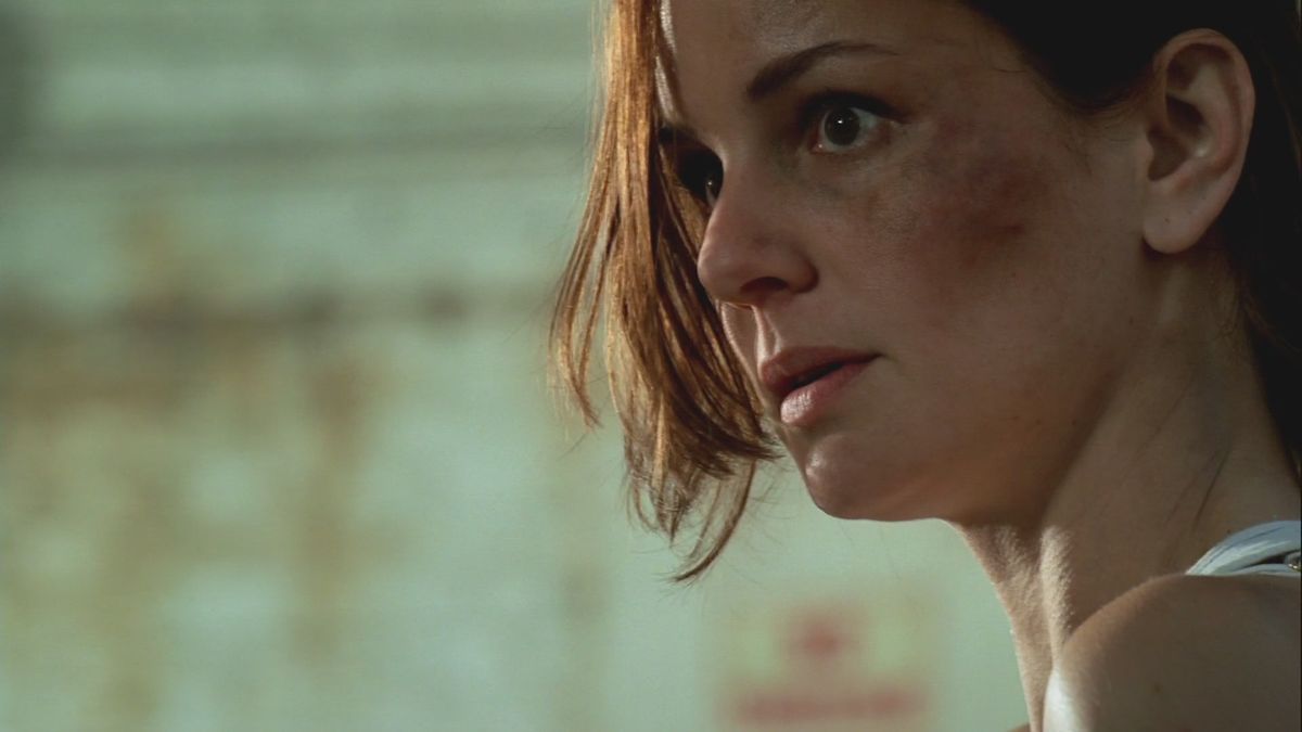 Prison Break The Final Break Film DTV (directtovideo) (2009)