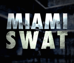 image-https://media.senscritique.com/media/000022331691/0/miami_swat.png