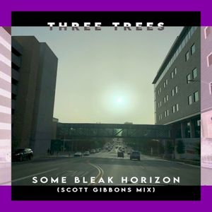 Some Bleak Horizon (Scott Gibbons mix)