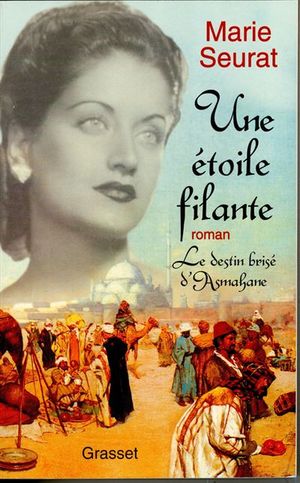 Une étoile filante