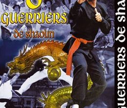 image-https://media.senscritique.com/media/000022334301/0/les_8_guerriers_de_shaolin.jpg