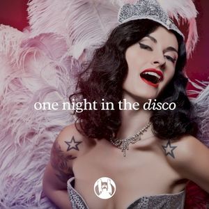 One Night in the Disco (Original Mix) (Single)